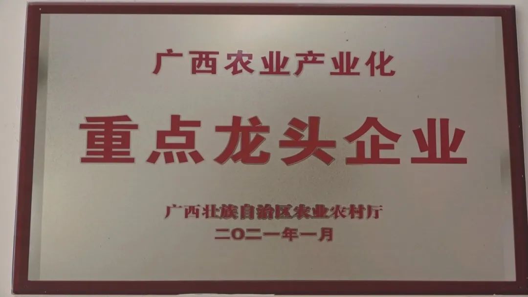 喜讯 | 广西河丰药业有限责任公司获评&ldquo;全区清廉民企建设标杆企业&rdquo;